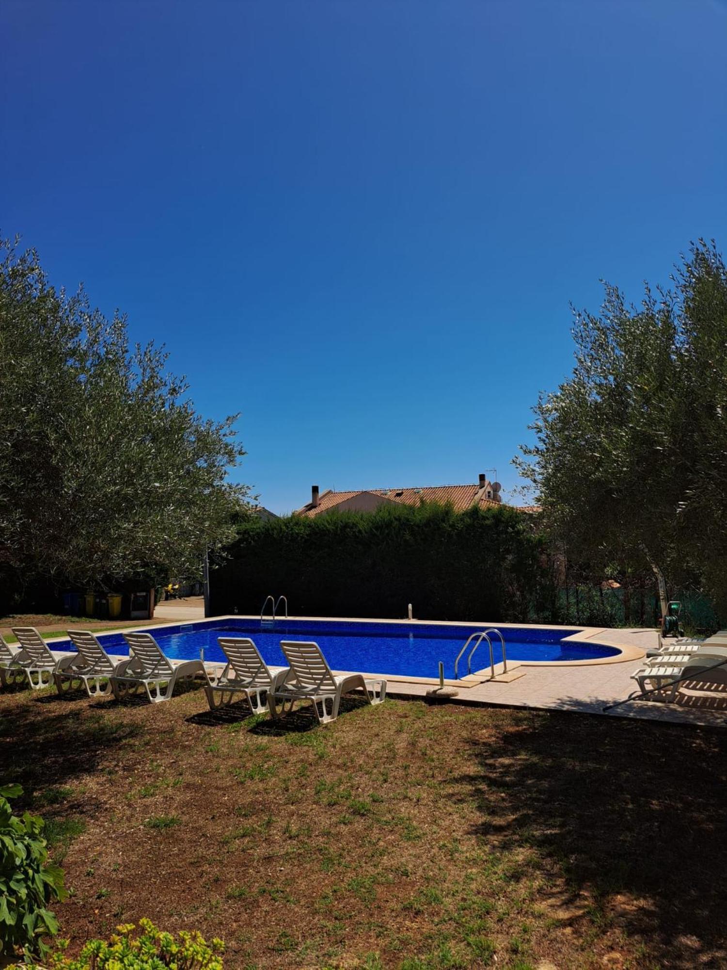 Dragica Porec